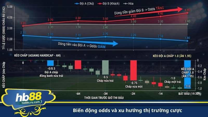 biến động odds và xu hướng thị trường cược