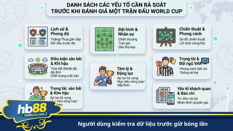 người dùng kiểm tra dữ liệu trước giờ bóng lăn