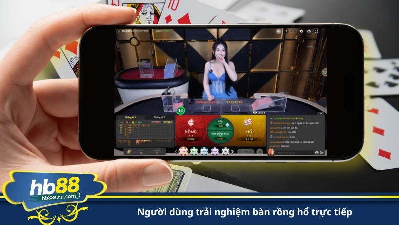 người dùng trải nghiệm bàn rồng hổ trực tiếp