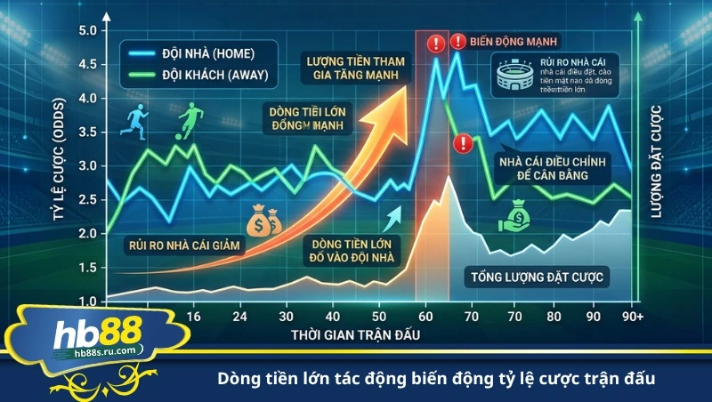 dòng tiền lớn tác động biến động tỷ lệ cược trận đấu