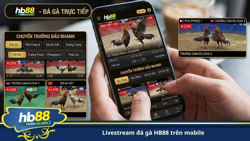 livestream đá gà HB88 trên mobile