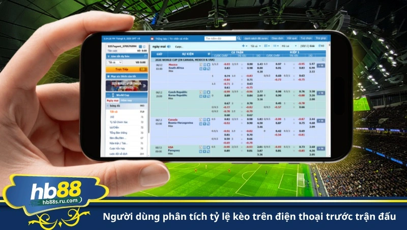 người dùng phân tích tỷ lệ kèo trên điện thoại trước trận đấu