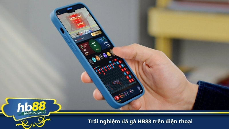 trải nghiệm đá gà HB88 trên điện thoại